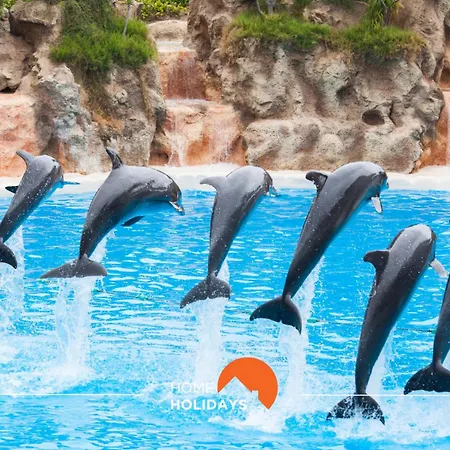 #088 T2 Sao Rafael 64b By Holidays Appartement